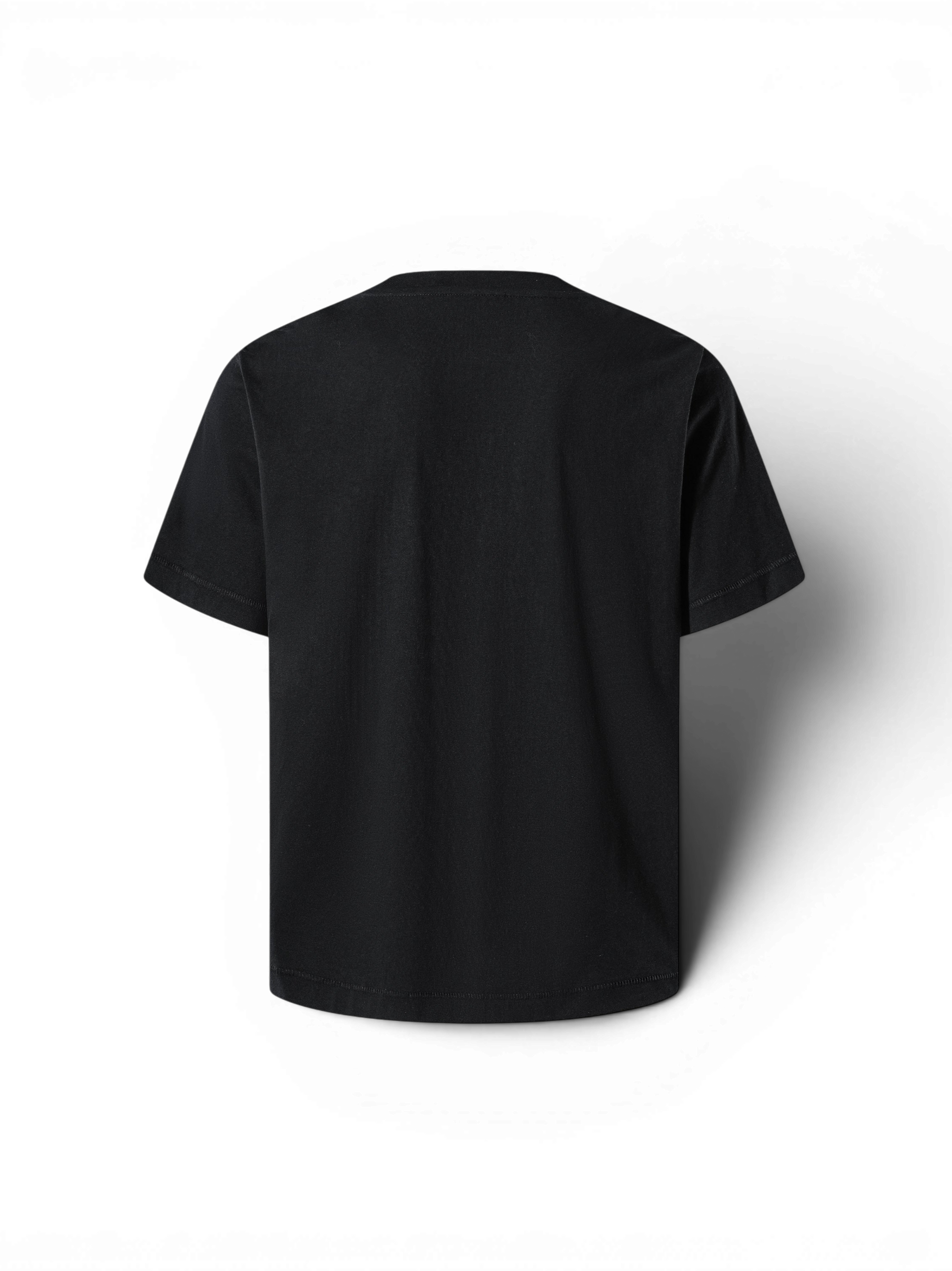TBHNP Luminous Dawn jewel knight print cotton t-shirt — men's streetwear graphic tee