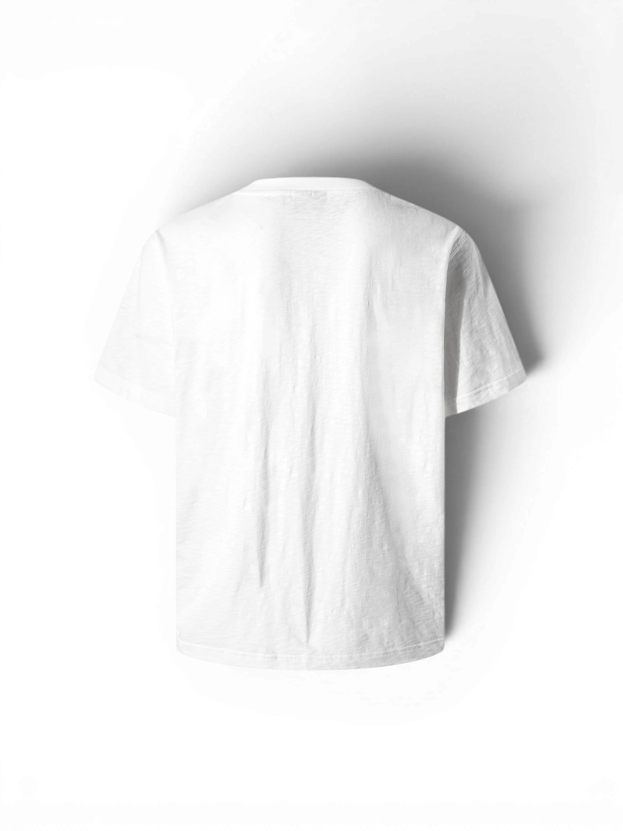 TBHNP Luminous Dawn baroque embroidered cotton t-shirt — men's streetwear graphic tee