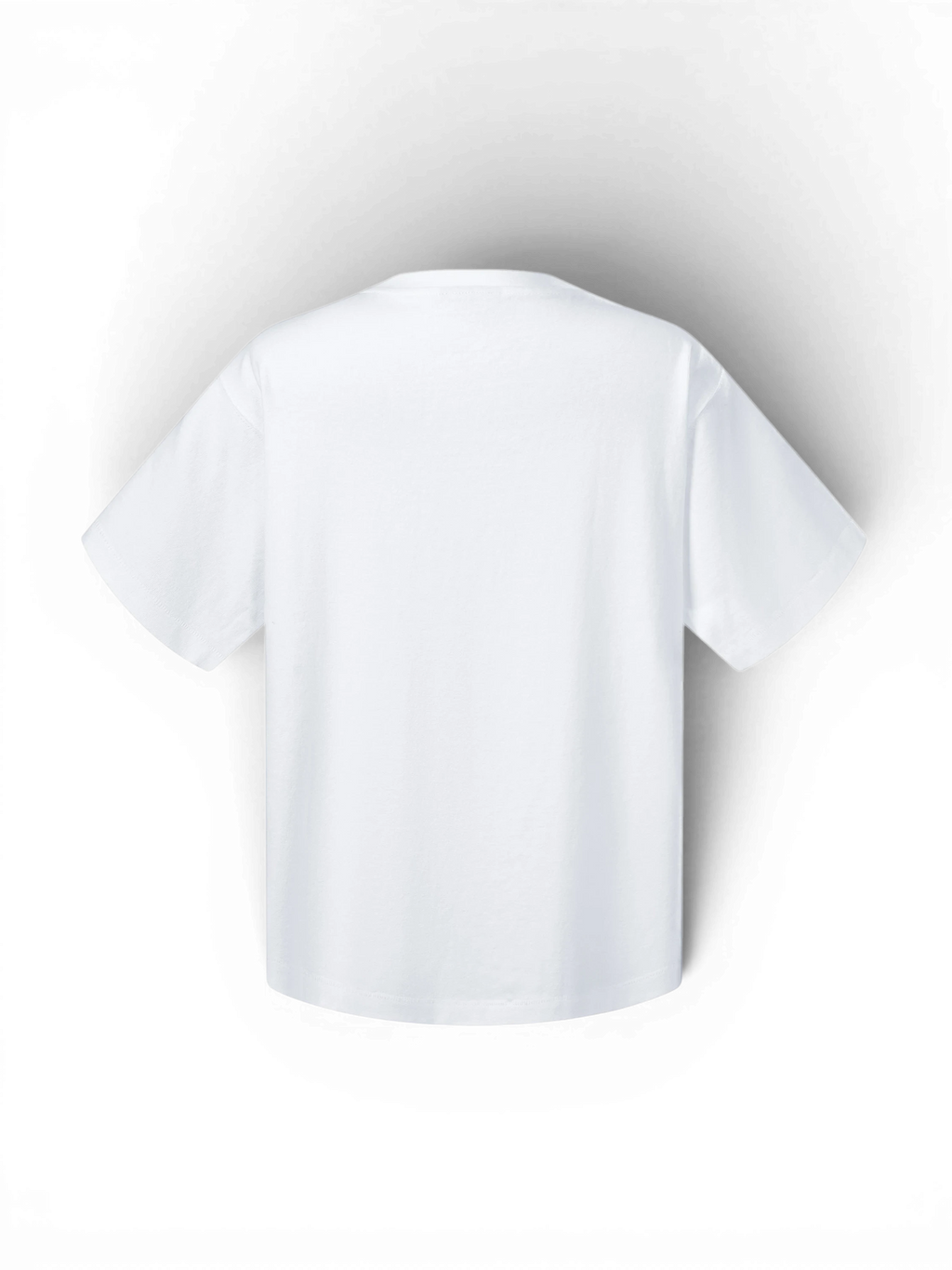 LUMINOUS DAWN GHOST & KNIGHT DISTRESSED T-SHIRT