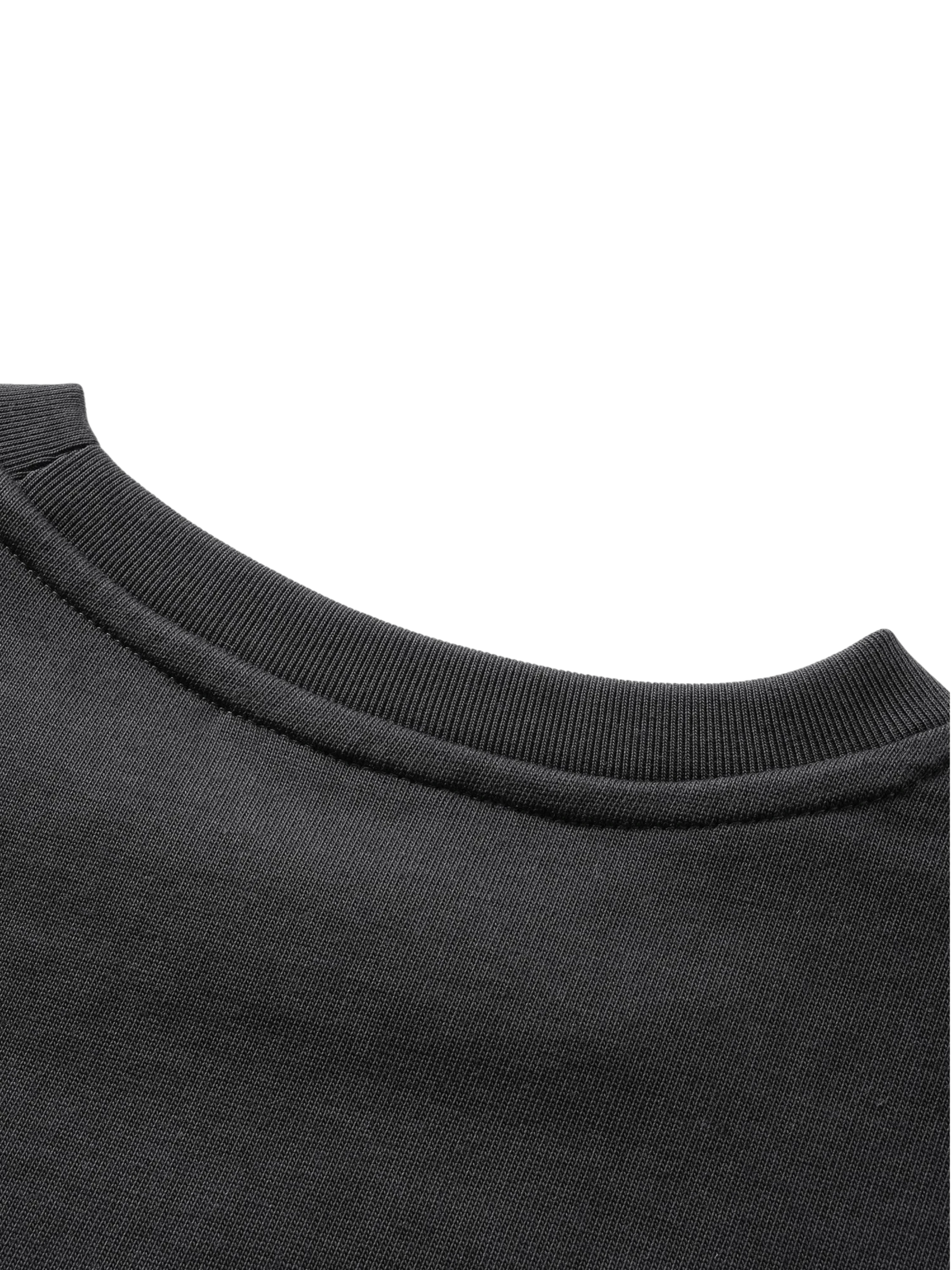 TBHNP Luminous Dawn flocked logo long-sleeve tee — men's streetwear graphic tee