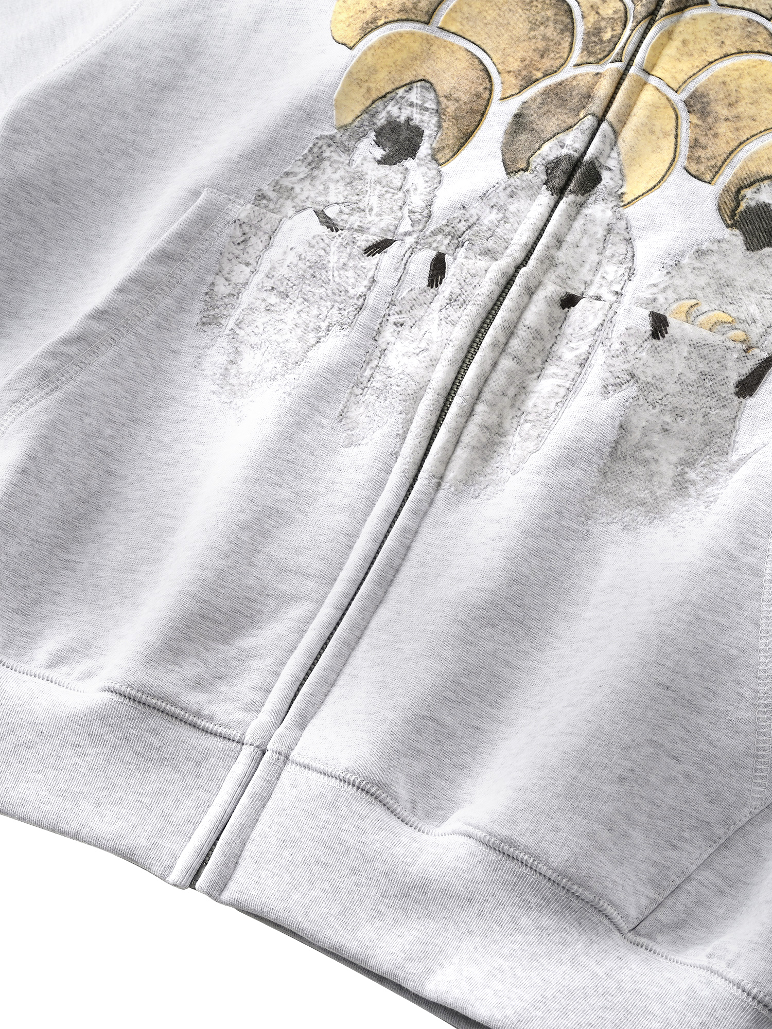 DISCIPLE GRAPHIC FLOCKED ZIP HOODIE