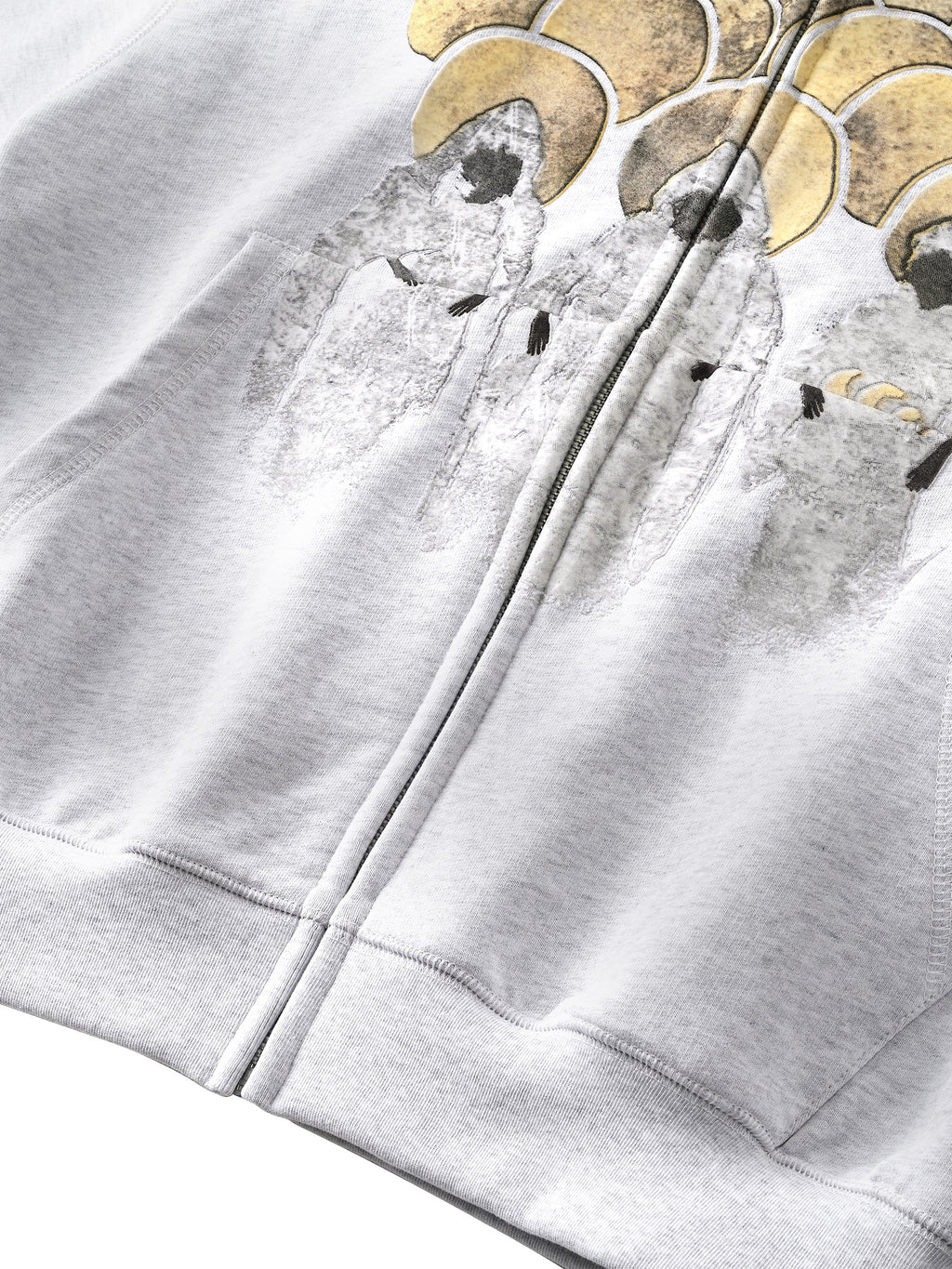 DISCIPLE GRAPHIC FLOCKED ZIP HOODIE
