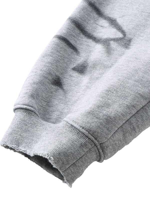 LUMINOUS DAWN WASHED PRINTED DESTROYED HOODIE