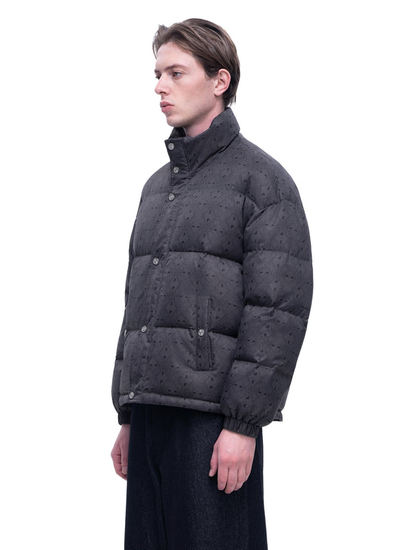 LUMINOUS DAWN SHADOWBAT STAND-COLLAR DOWN JACKET