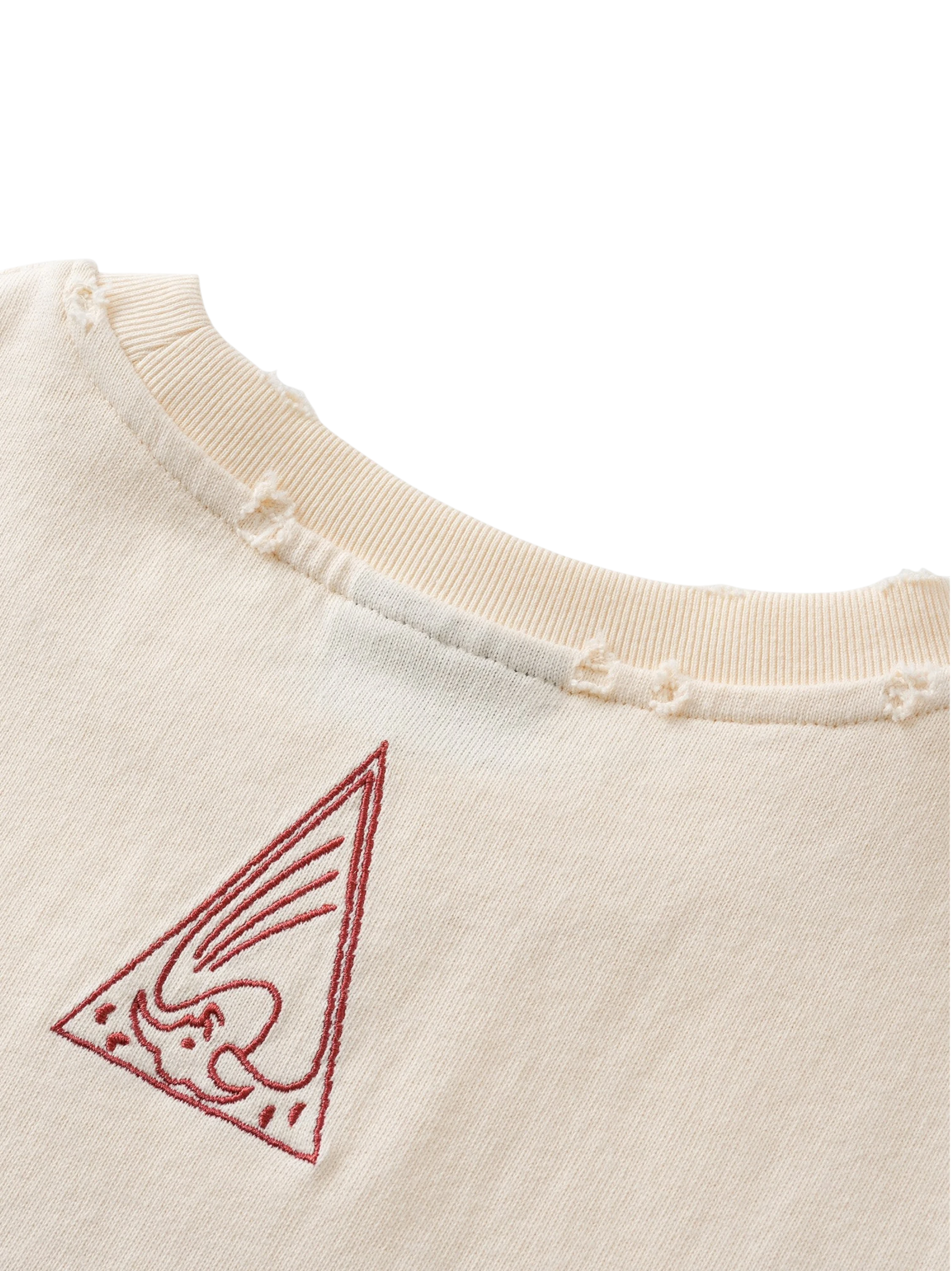 TBHNP Disciple two-tone washed long-sleeve tee — men's streetwear graphic tee